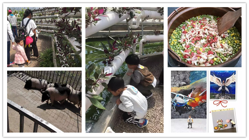 BBunion国际早教台州中心活动花絮：春游之花漾星球