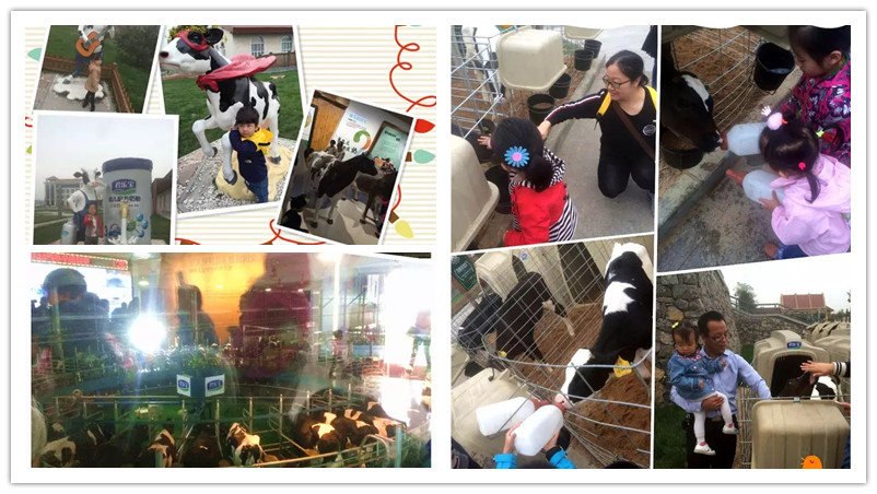 BBunion国际早教石家庄中心活动花絮：君乐宝牧场行
