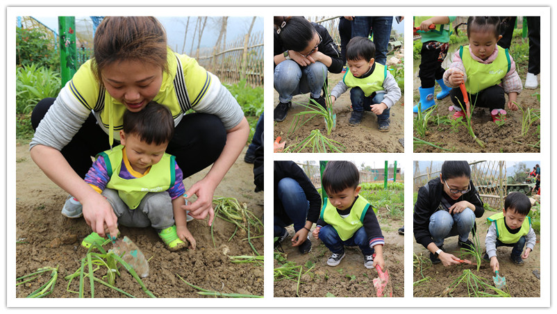 BBunion国际早教厦门世贸中心:植树节户外体验 BBunion国际早教厦门世贸中心:植树节户外体验