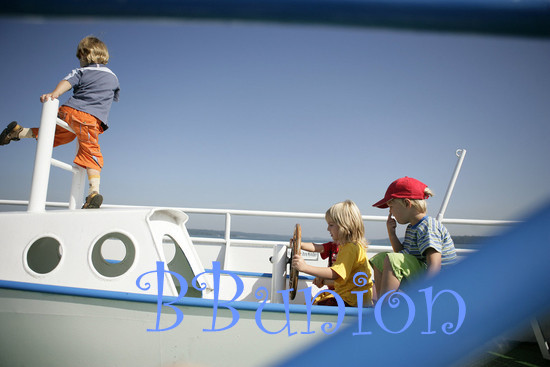 诺亚方舟比赛规则